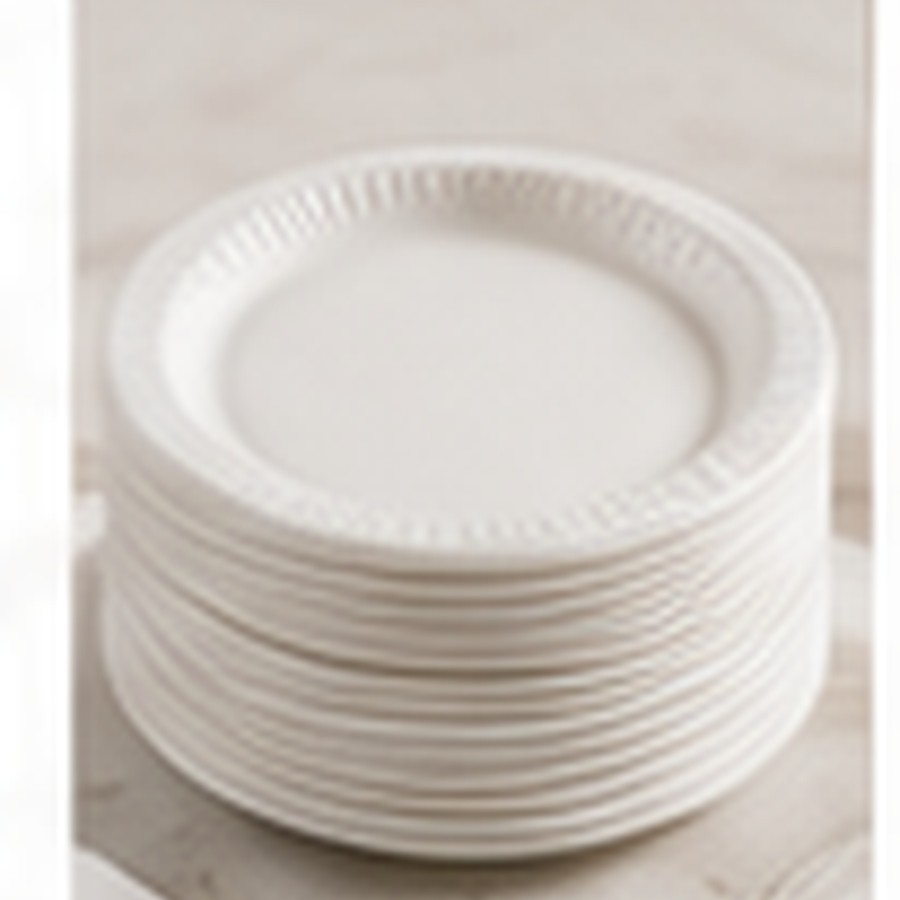 CLEAR HARD ROUND 7" PLATES (20PC)