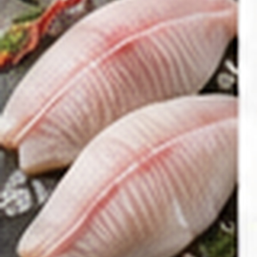 TILAPIA FISH
